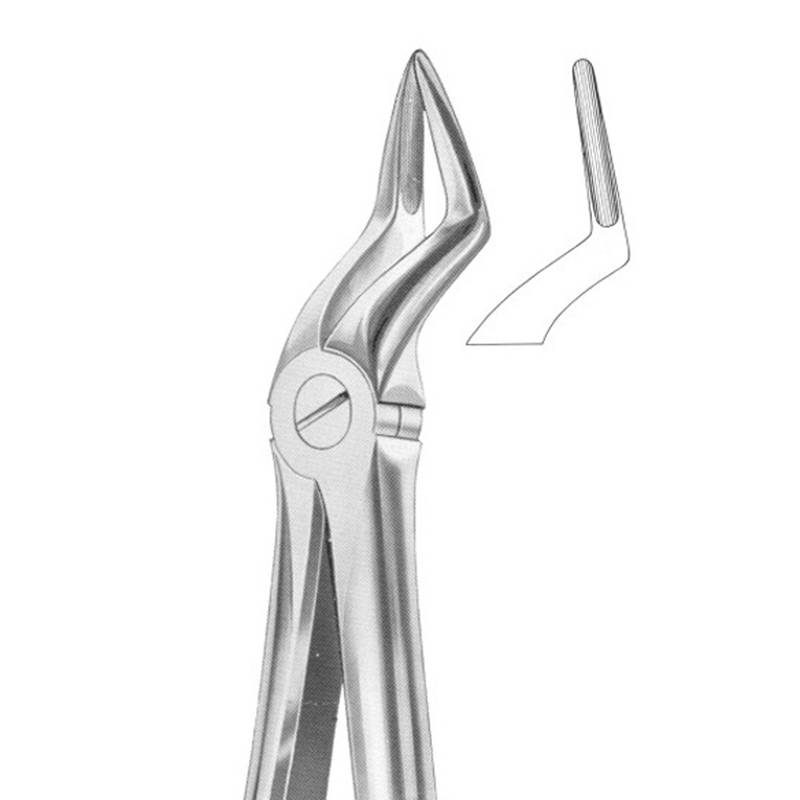LD1-121-Extracting-Forceps-51A-Upper-Roots.jpg Extracting Forceps #51A Upper Roots - Image 1
