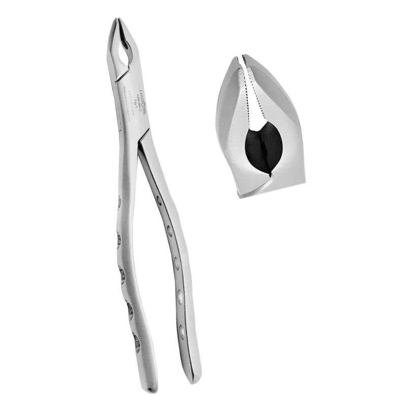 Extracting Forceps Fig. 1 Upper Anterior - Image 1