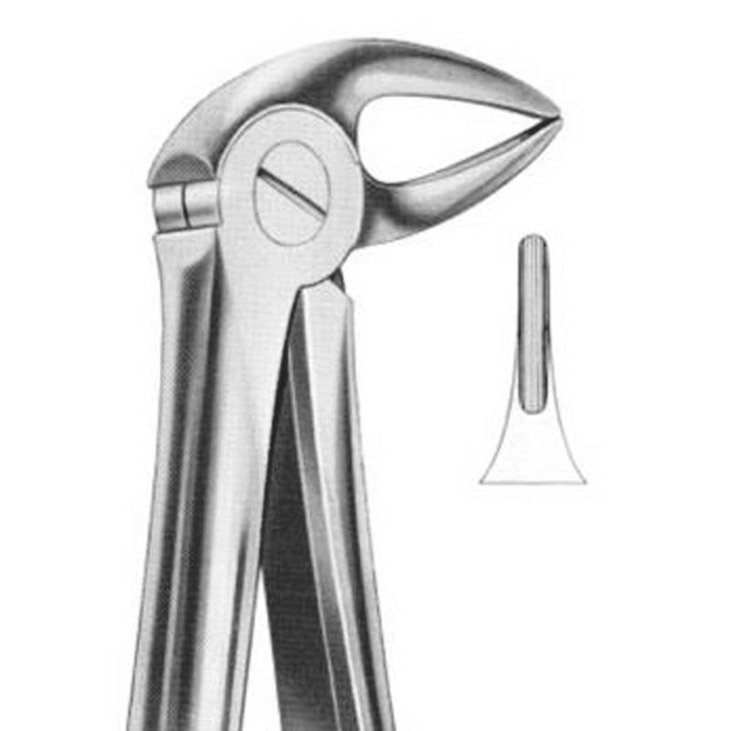 LD1-116-Extracting-Forceps-33A-Lower-Roots.jpg Extracting Forceps #33A Lower Roots - Premium Dental Surgical Instrument - Image 1