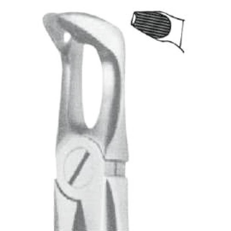 LD1-139-Deep-Gripping-Forceps-79N-Lower-Third-Molars.jpg Deep Gripping Forceps #79N Lower Third Molars - Image 1