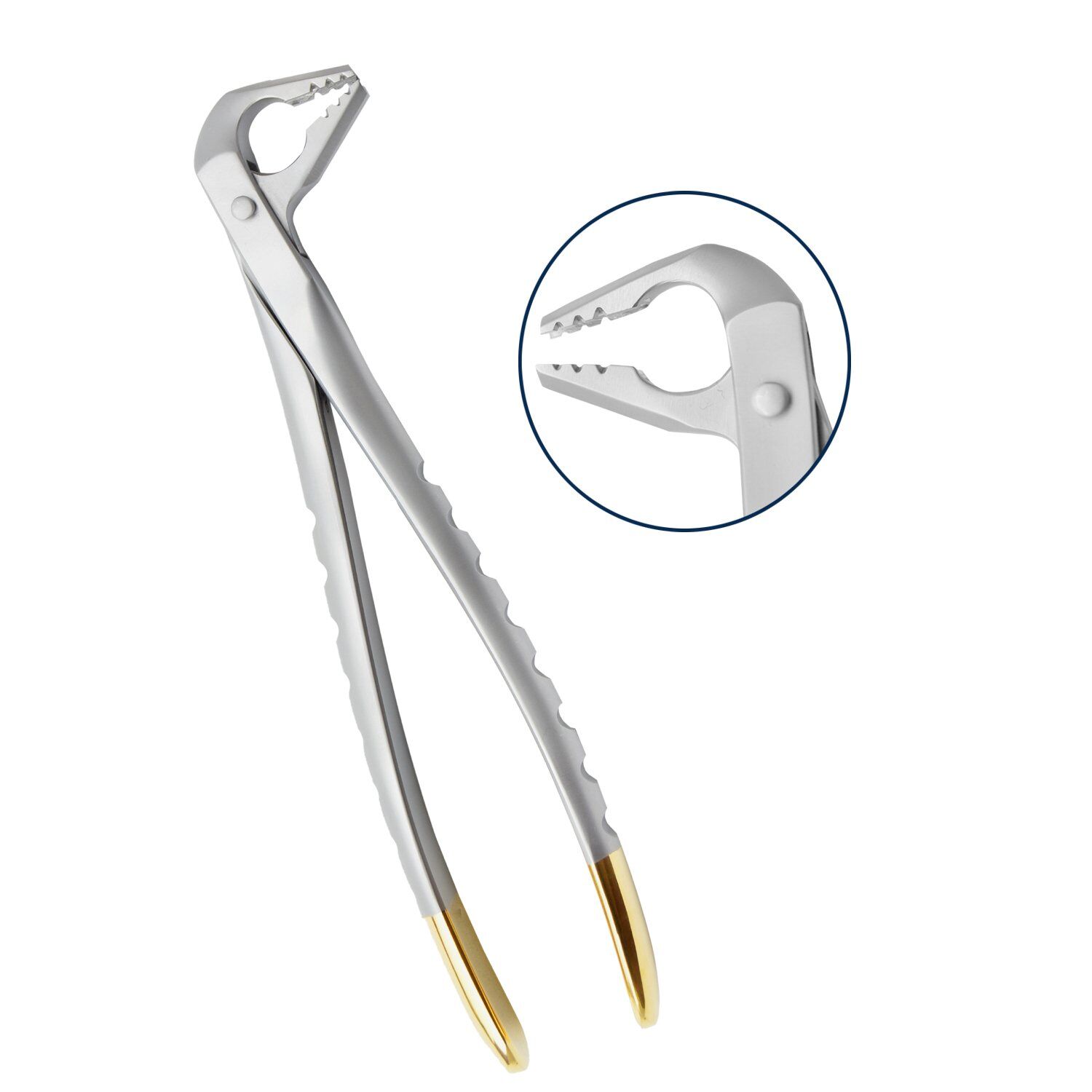 Deep Gripping Atraumatic Extracting Forceps &ndash; Lower Anterior - Image 1
