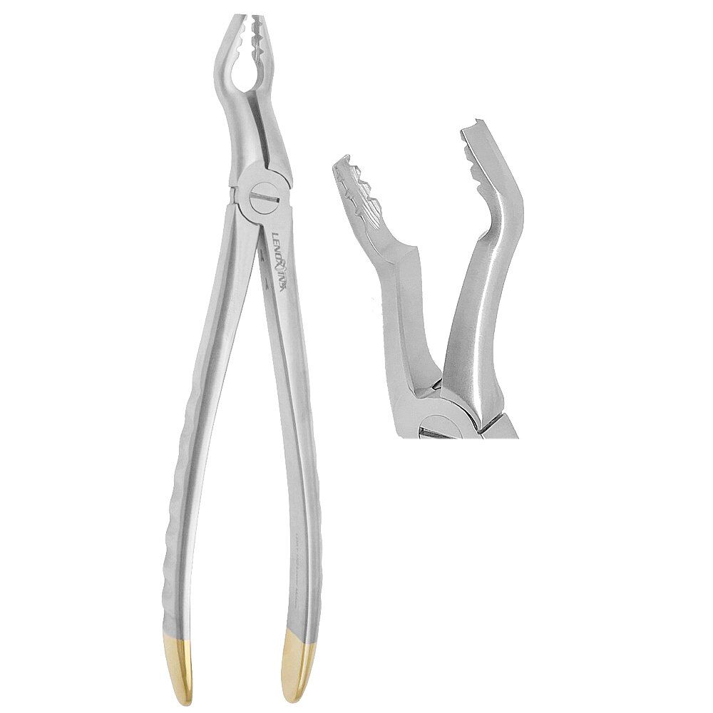 LDA1-158GS-Dental-Atraumatic-Extracting-Forceps-Upper-Molars-copy-1-1.jpg Deep Gripping Universal Extraction Forceps Upper Molars - Image 1