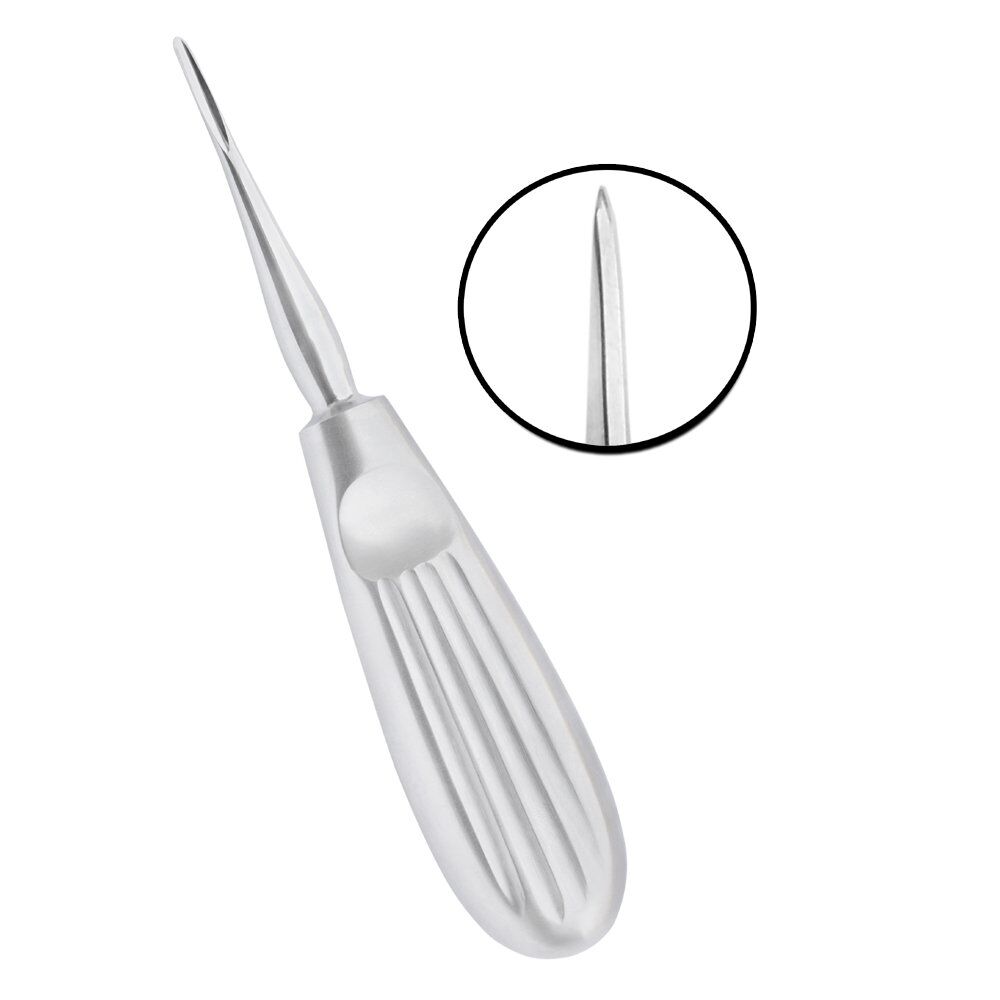 Root Elevators Bein 2.5MM - Image 1