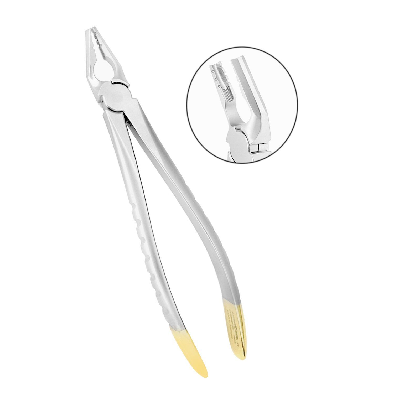 Premium Deep Gripping Extracting Forceps - Image 1