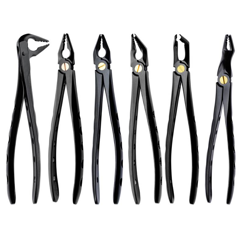Deep Gripping Extracting Forceps Set of 6 - Image 1