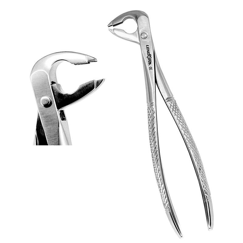 Deep Gripping Forceps #336 Lower Premolars - Image 1